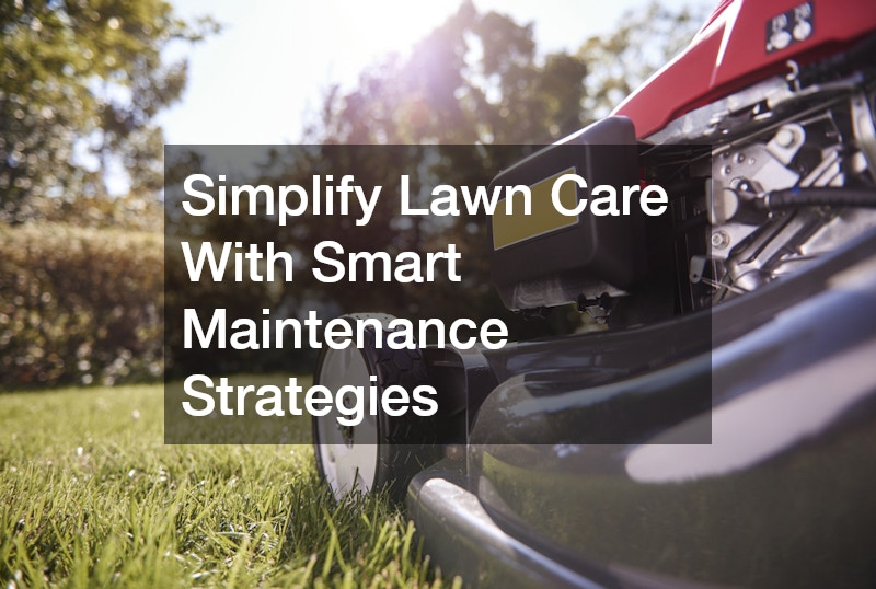 Simplify Lawn Care With Smart Maintenance Strategies