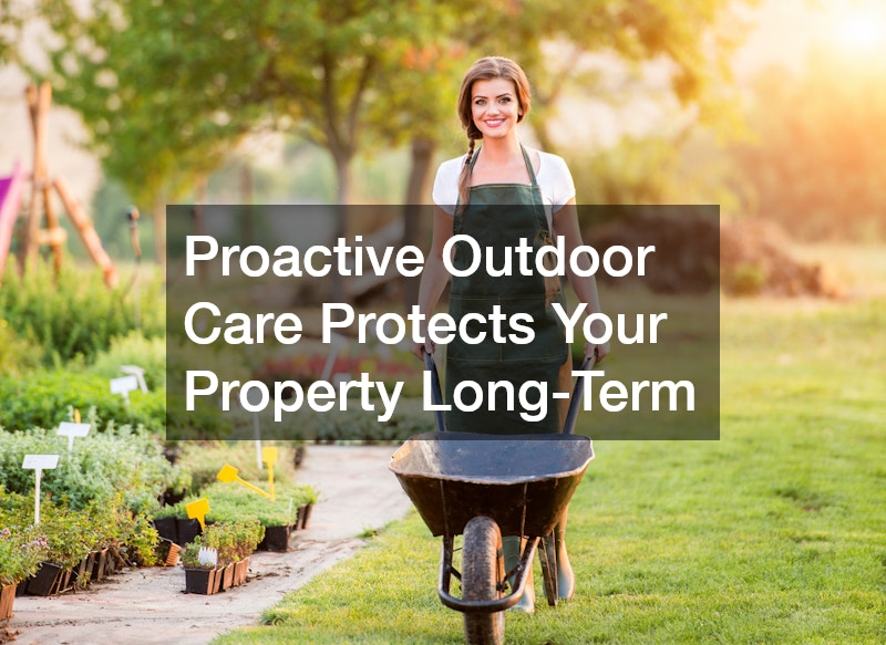 Proactive Outdoor Care Protects Your Property Long-Term