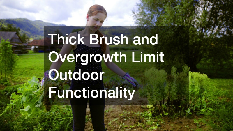 Thick Brush and Overgrowth Limit Outdoor Functionality