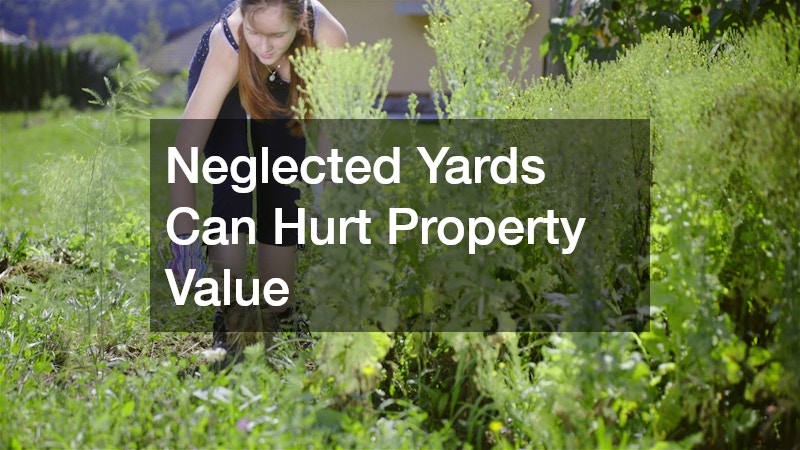 Neglected Yards Can Hurt Property Value
