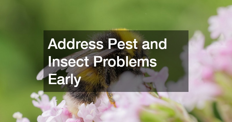 Address Pest and Insect Problems Early
