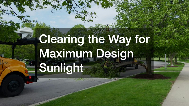 Clearing the Way for Maximum Design Sunlight