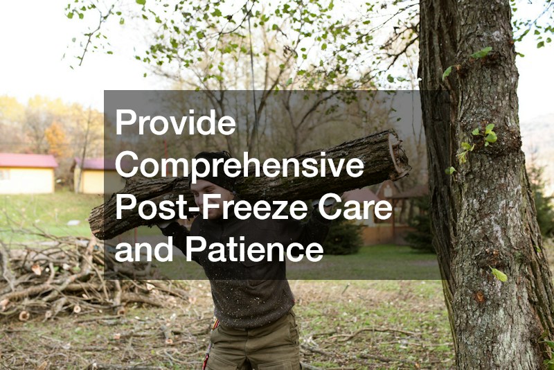 Provide Comprehensive Post-Freeze Care and Patience
