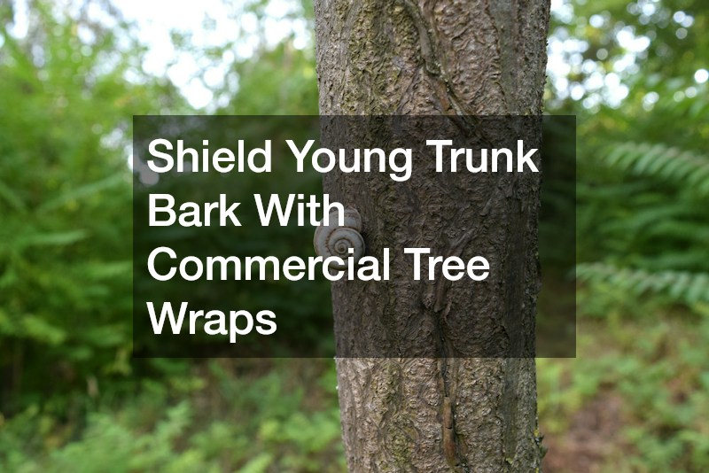 Shield Young Trunk Bark With Commercial Tree Wraps