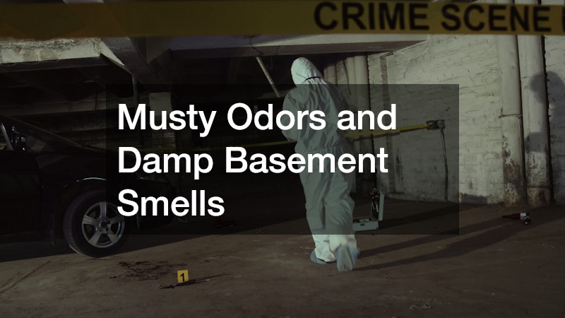 Musty Odors and Damp Basement Smells