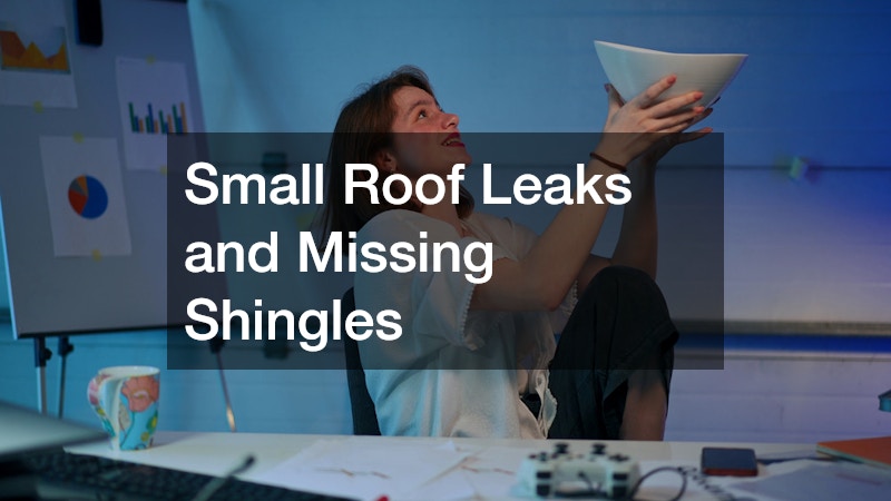 Small Roof Leaks and Missing Shingles