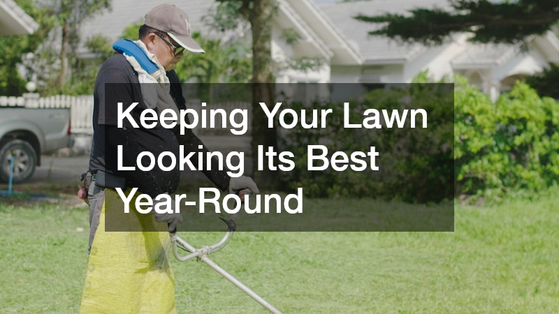 Keeping Your Lawn Looking Its Best Year-Round