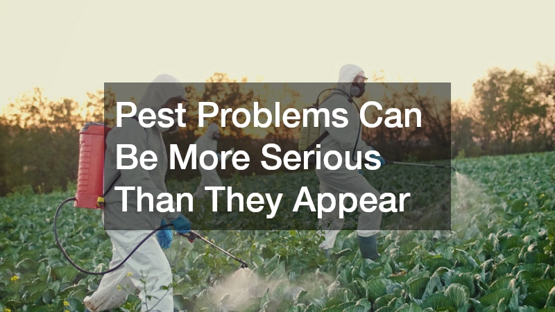 Pest Problems Can Be More Serious Than They Appear