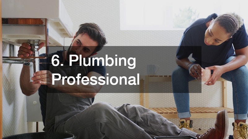 6. Plumbing Professional