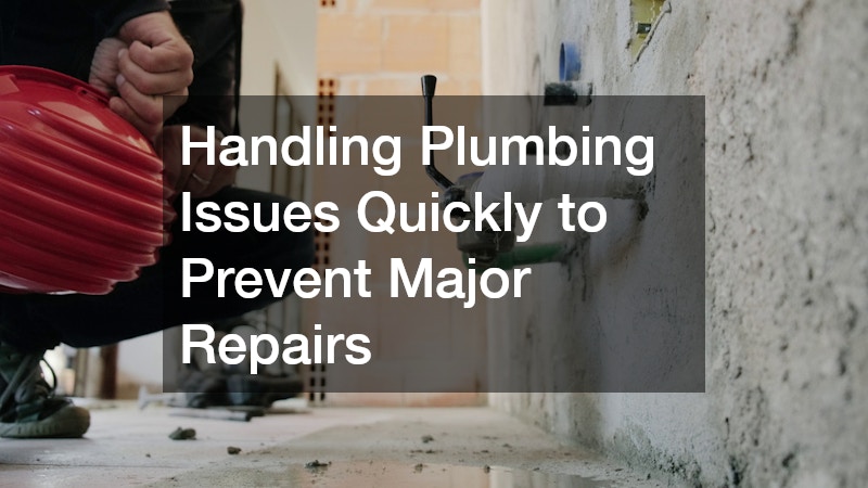 Handling Plumbing Issues Quickly to Prevent Major Repairs