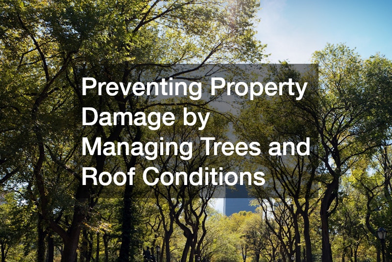 Preventing Property Damage by Managing Trees and Roof Conditions