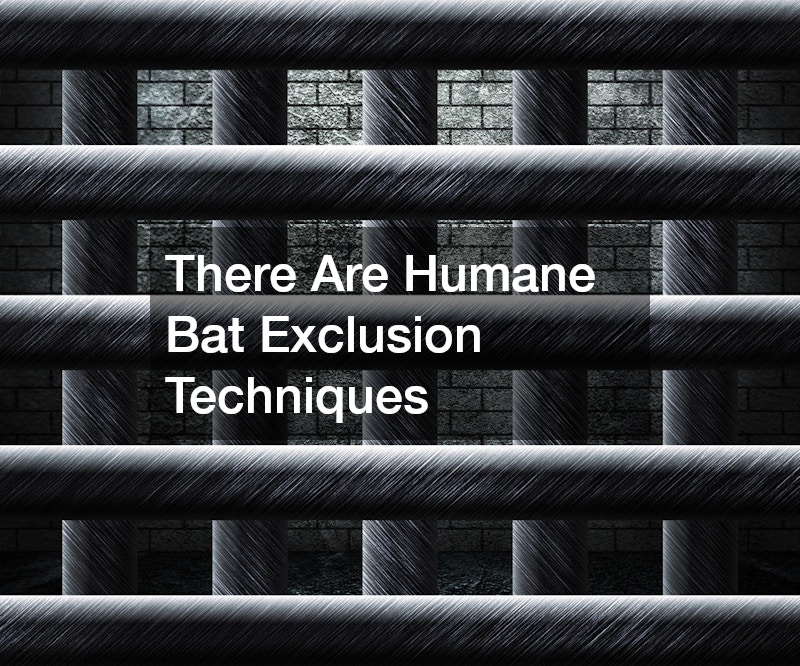 There Are Humane Bat Exclusion Techniques
