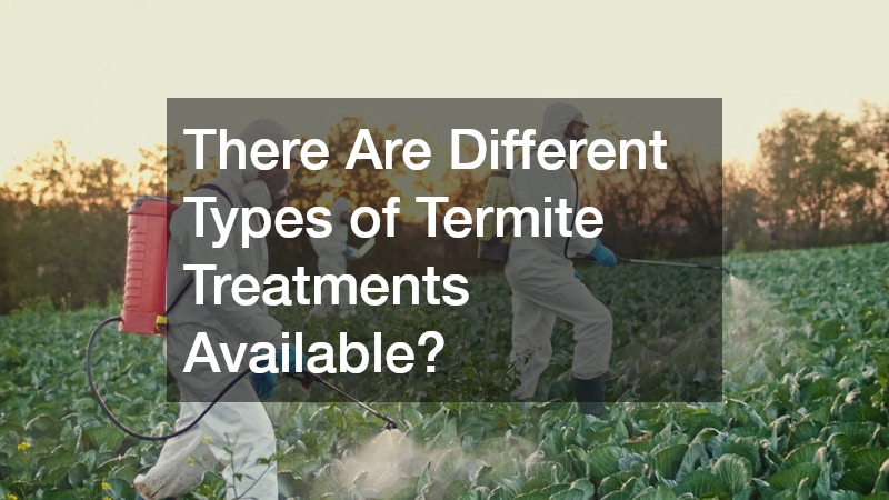 There Are Different Types of Termite Treatments Available?