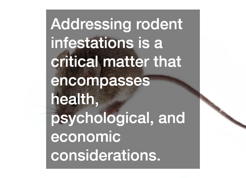 Addressing rodent infestations is a critical matter that encompasses health, psychological, and economic considerations.