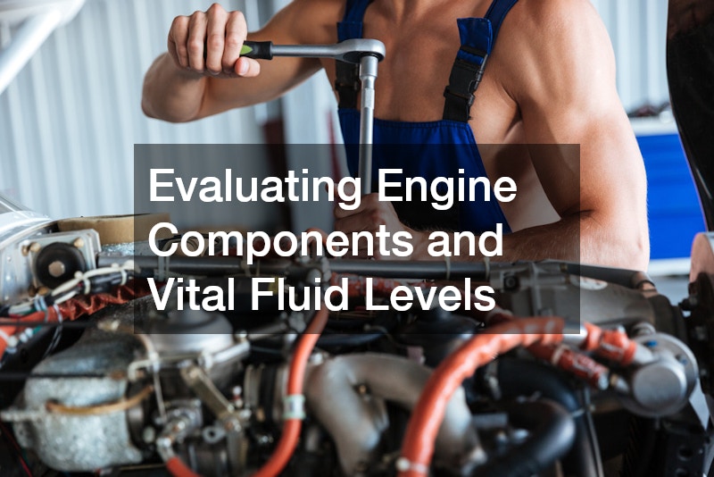Evaluating Engine Components and Vital Fluid Levels