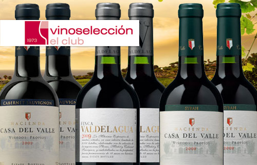 Vinoseleccion 6 Flaschen Rotwein