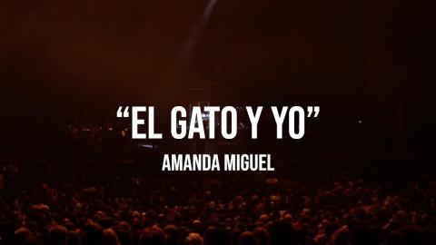 Amanda Miguel - El Gato Y Yo (En Vivo Desde El Auditorio Nacional) - Amanda Miguel