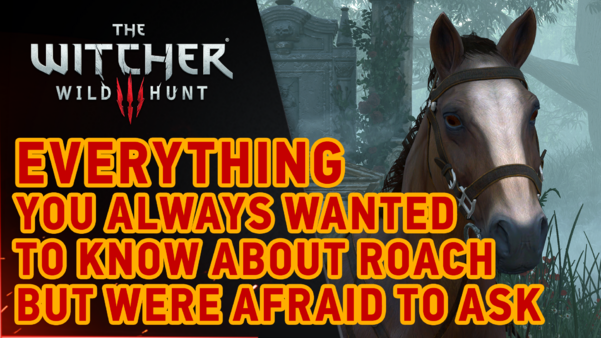 Roach DLC The Witcher III: Wild Hunt - Roach