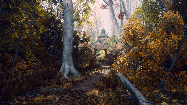 Someday You'll Return - woods