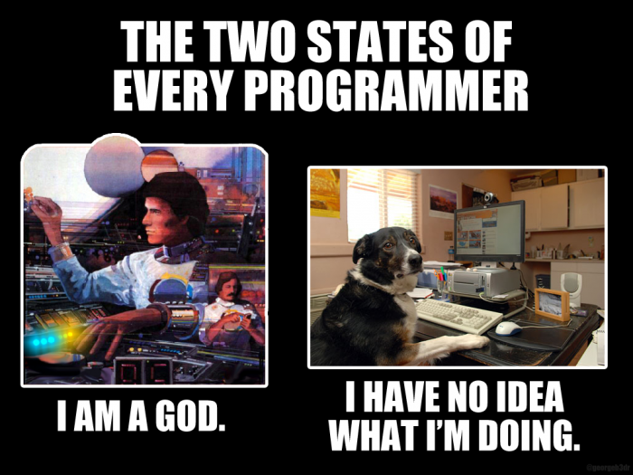 Top 5 Programming Memes