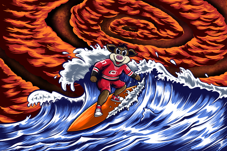 hurricanesplayofffundraiser.rallyup.com