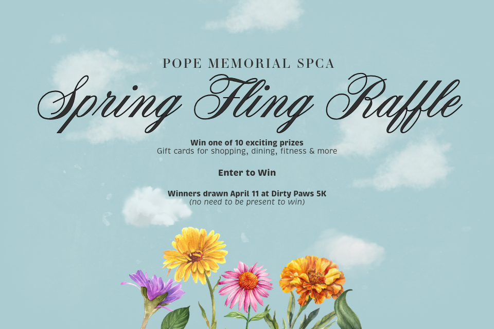 Spring Fling Raffle | RallyUp