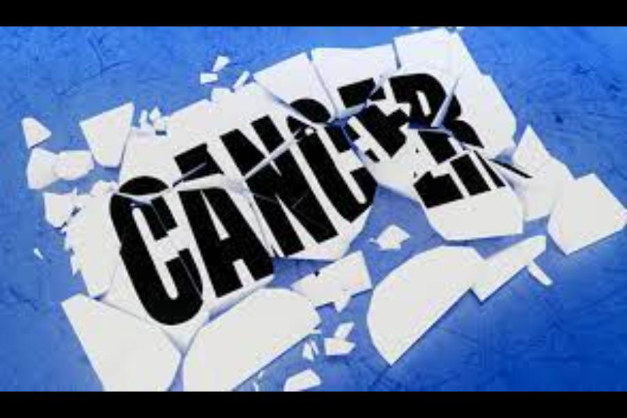 Viviscent Wellness Foundation