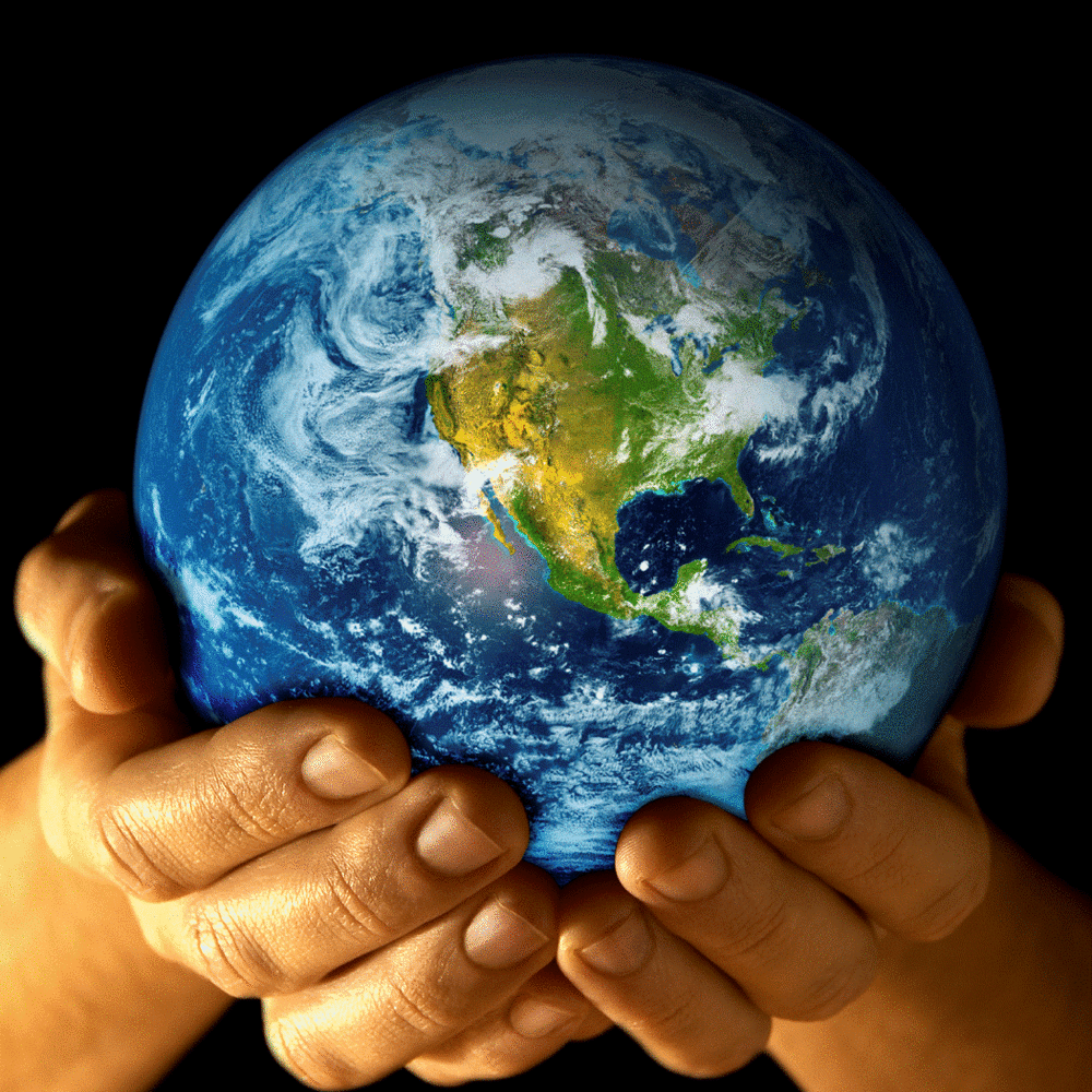 How Do Humans Affect The Environment On Emaze How do humans affect the environment on emaze