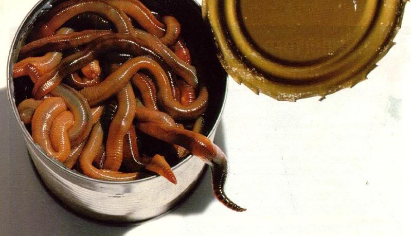 1365516278_can-of-worms.jpg
