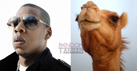 1373012311_jay-z-looks-like-a-camel.jpg