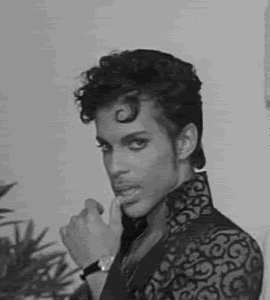 PRINCE.gif