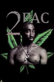 Genius profile picture for @Havoc