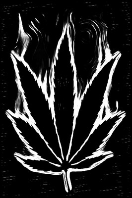 Genius profile picture for @Punk-Z