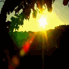 Genius profile picture for @sunset