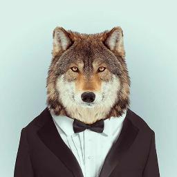 Genius profile picture for @Lupus