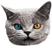Genius profile picture for @bOxes-