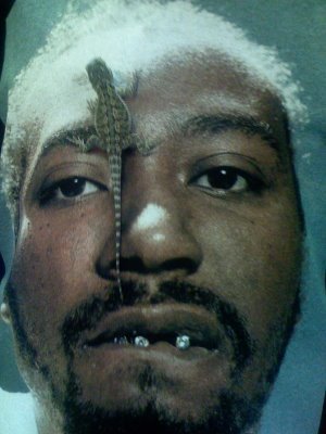 Genius profile picture for @stylus
