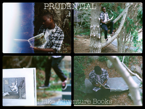 Genius profile picture for @Prudential
