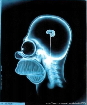 Genius profile picture for @S_TEM