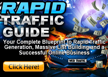 Rapid Traffic Guide