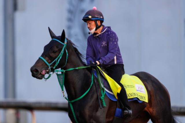 AP News: Horse racing in Japan is on the rise. A Kentucky Derby winner could be next