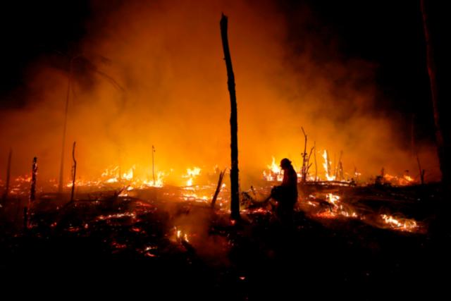 Despite gains combating deforestation in Brazil's Amazon, forest ...