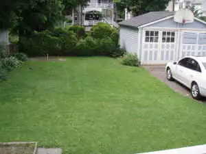S Bed 57 Walnut Street Binghamton, NY 13905 USA 1