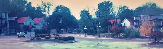 BullDawg II at Brownsville Station Community 0 0