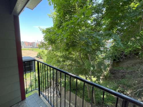 Cougar Place 3 1