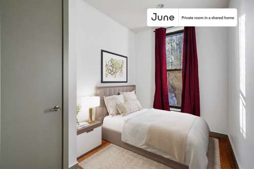 Private bedroom in 4 bed/1.5 bath Home 8 1