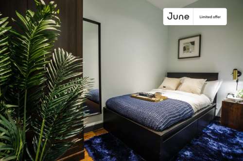 Private bedroom in 4 bed/2 bath Home 88 0