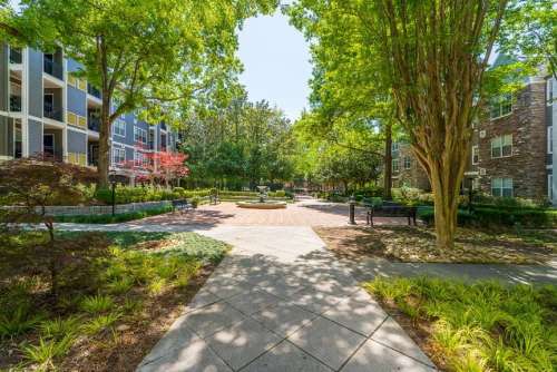 ARIUM Lenox Park 2