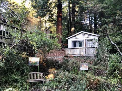 Upper Sunny Brae Home in the Redwoods 0 2