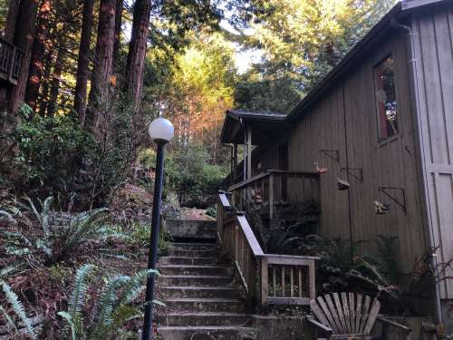 Upper Sunny Brae Home in the Redwoods 1 3